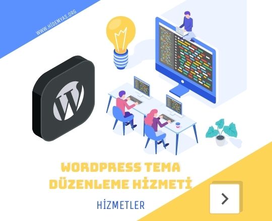 Wordpress Tema Düzenleme Hizmeti
